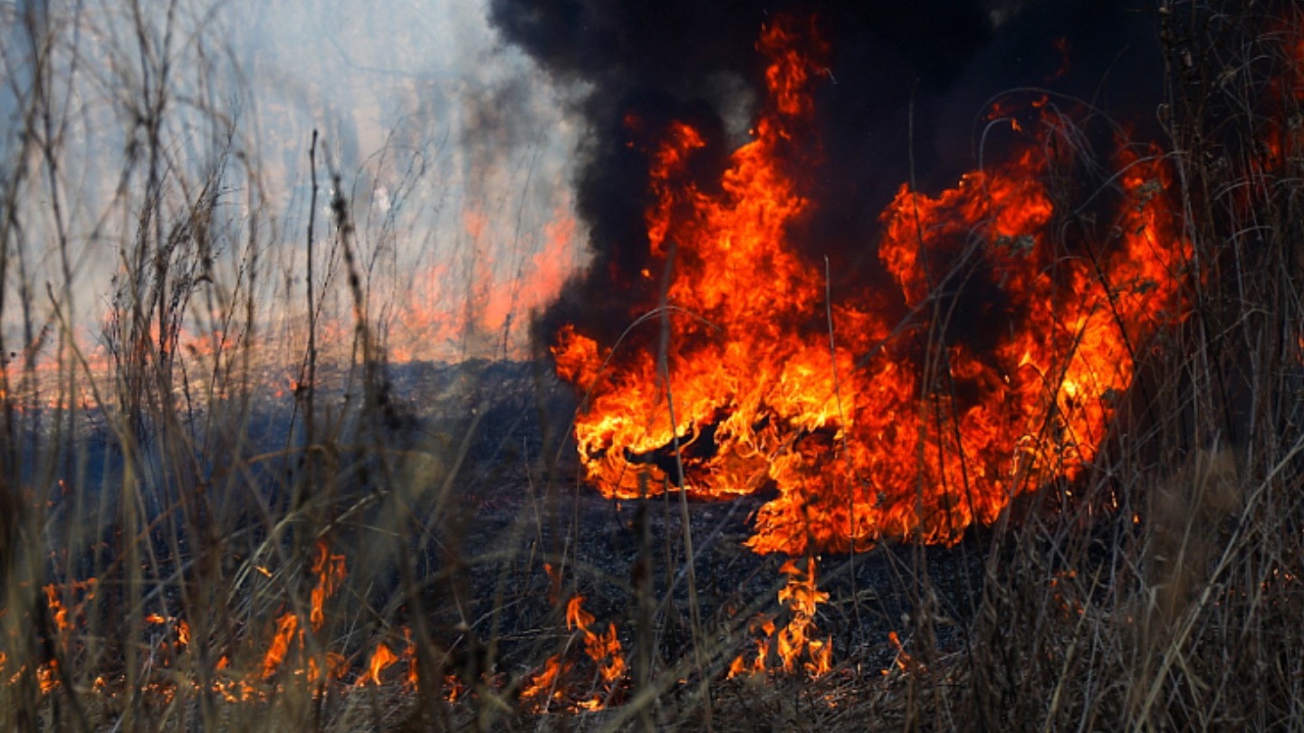 Два природных пожара тушат в Красноармейском округе Приморского края