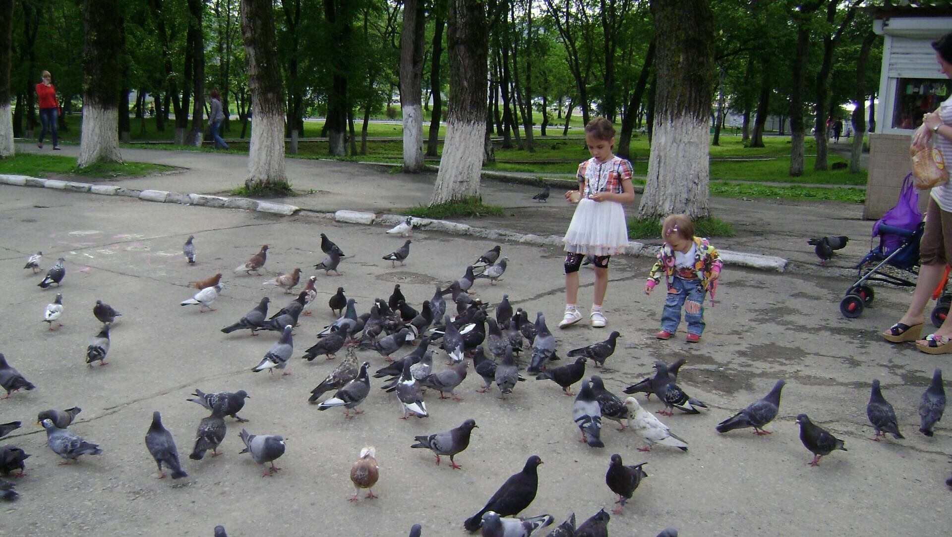 Заявления на единое пособие на детей начали принимать в Приморском крае