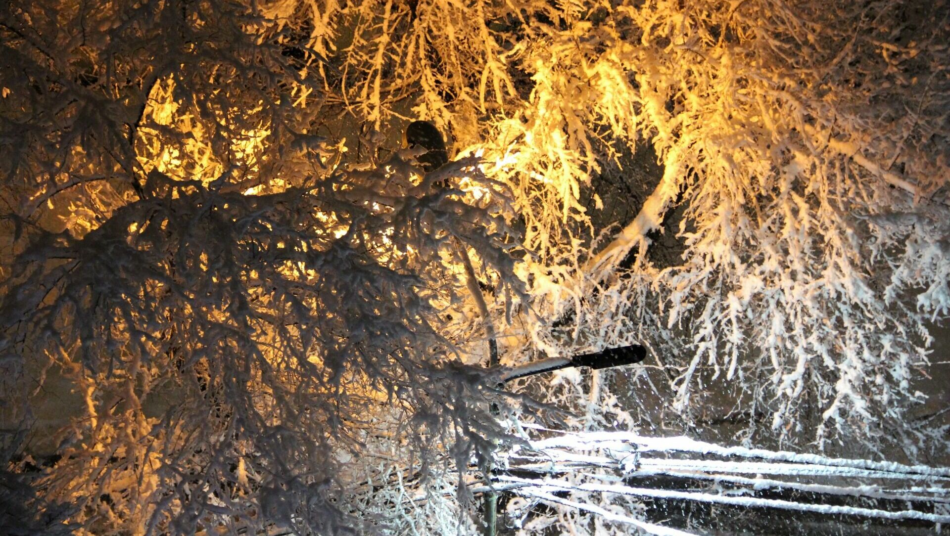 Картина дня в Приморье: мартовский снегопад, чудо «Адмирала» и найденный преступник