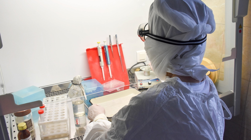 Новые случаи заражения коронавирусом выявлены в Приморье. Последние данные на 3 июня