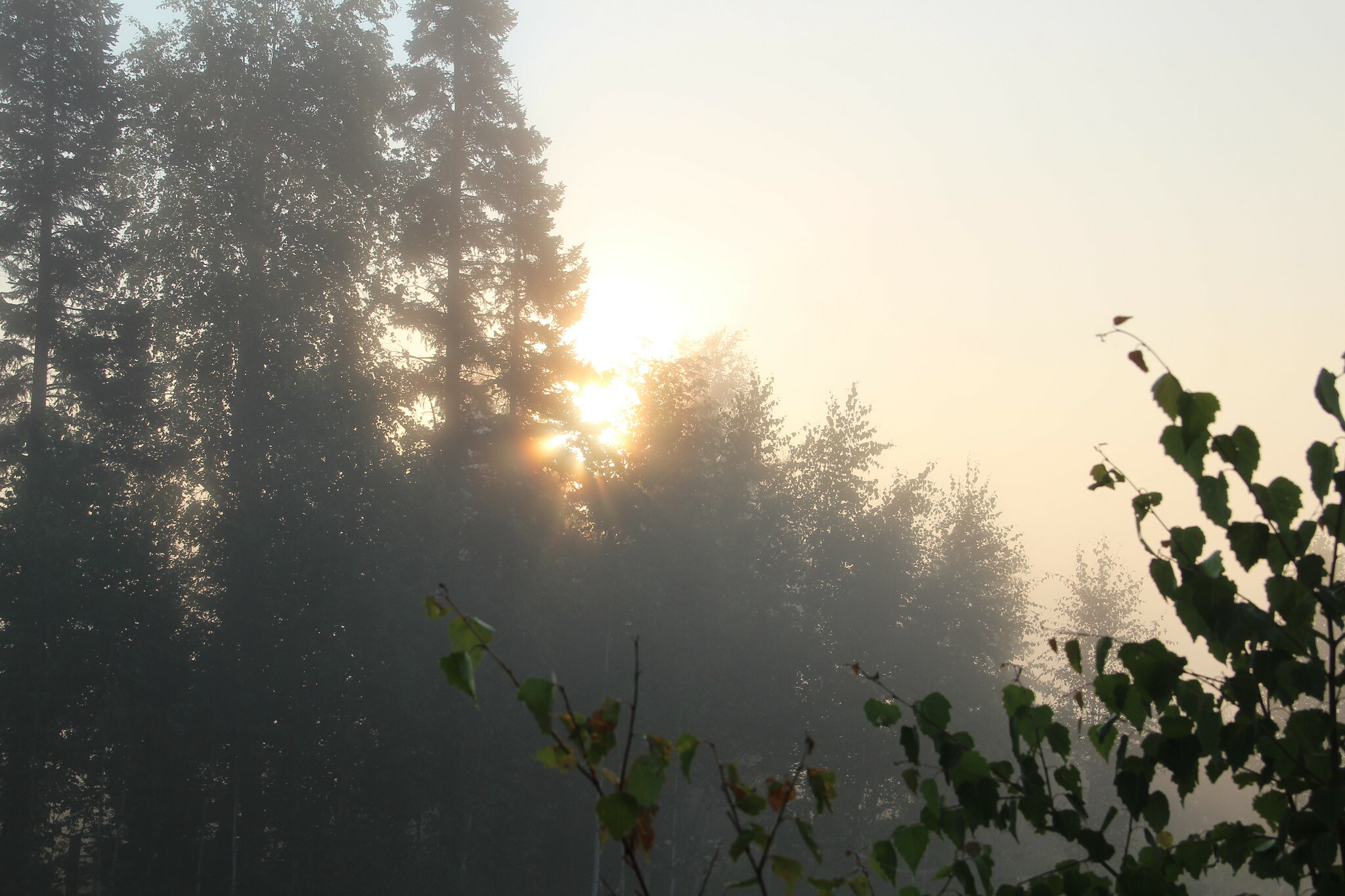 Наконец-то солнце: синоптики рассказали, когда в Хабаровске настанут ясные дни